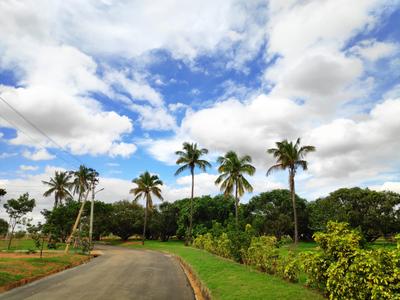 Project Image of 1108.0 - 2400.0 Sq.ft Residential Plot Plot for buy in Shriram Godhuli
