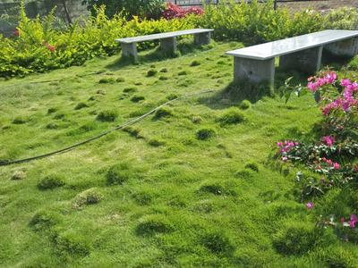 Project Image of 900.0 - 2400.0 Sq.ft Residential Plot Plot for buy in SKH Echium Phase 1