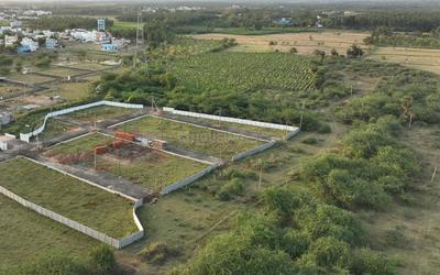 Project Images