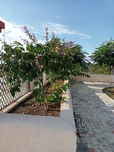 Project Image of 969.51 - 4337.32 Sq.ft Residential Plot Plot for buy in Nagar 12