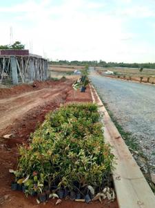 Project Image of 1200.0 - 3999.0 Sq.ft Residential Plot Plot for buy in Excel Oxygen