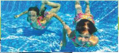 DNA Opus Swimming Pool 1