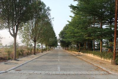 Project Image of 350.0 - 1100.0 Sq.ft Residential Plot Plot for buy in Kalyan Phase II