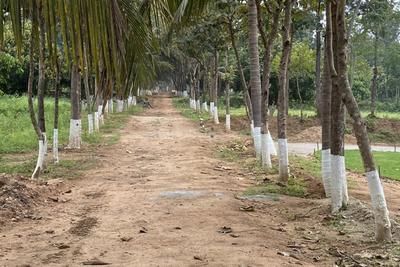 Project Image of 5659.0 - 16247.0 Sq.ft Residential Plot Plot for buy in Arinaa Country Farms