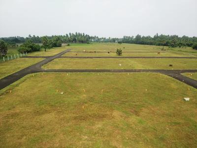 Project Image of 600.0 - 2396.0 Sq.ft Residential Plot Plot for buy in DVN Pappammal Garden