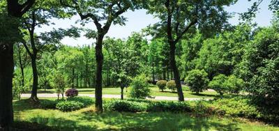 Ruby Green Haven Landscaped Gardens 1