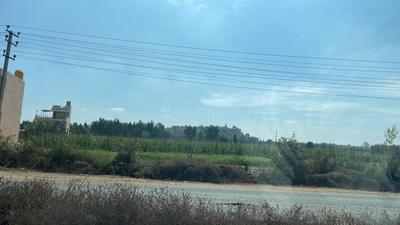 Project Image of 5178.0 - 11433.0 Sq.ft Residential Plot Plot for buy in PK Mango Nest Farmlands