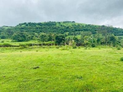 Project Image of 1000.0 - 3000.0 Sq.ft Residential Plot Plot for buy in Bhoomi Plots In Dhokshet