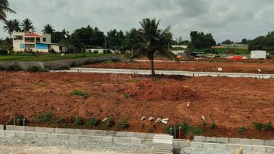 Project Image of 1200.0 - 1500.0 Sq.ft Residential Plot Plot for buy in Amruthadhama Legacy