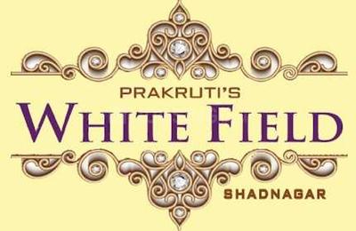 Project Image of 1281.0 - 10043.0 Sq.ft Residential Plot Plot for buy in Prakruti White Field