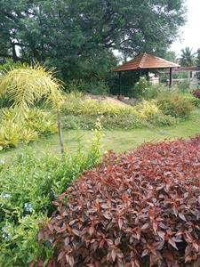 Project Image of 1200.0 - 2400.0 Sq.ft Residential Plot Plot for buy in Shree Durga Lake Vista
