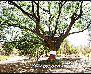 Project Image of 1646.88 - 6323.8 Sq.ft Residential Plot Plot for buy in Nirvana Wollywood Phase VI