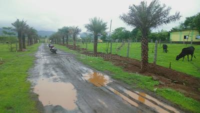 Project Image of 0.0 - 1200.0 Sq.ft Residential Plot Plot for buy in Regal Avenue
