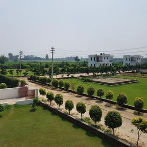 Project Image of 891.0 - 2228.0 Sq.ft Residential Plot Plot for buy in Mansha Royal City