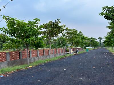Project Image of 1980.0 - 3600.0 Sq.ft Residential Plot Plot for buy in Sri Rajeswari Dwaraka