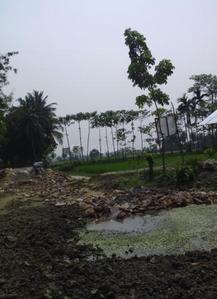 Project Image of 1441.0 - 2162.0 Sq.ft Residential Plot Plot for buy in Naskar Green Town