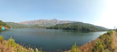 Stargaze Plot In Pali Others 1