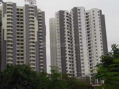 Trinity World Elevation 1