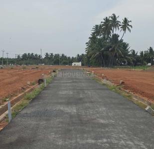 Project Images