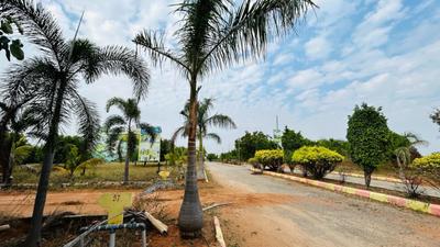 Project Image of 1350.0 - 4500.0 Sq.ft Residential Plot Plot for buy in Sampangi The Green Ridge
