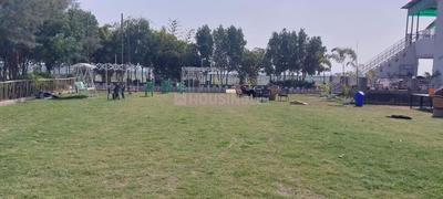 Project Image of 9072.0 - 18144.0 Sq.ft Residential Plot Plot for buy in Investors AV Farm