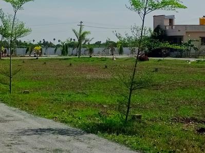 Project Image of 600.0 - 1500.0 Sq.ft Residential Plot Plot for buy in Vijayaram Green City