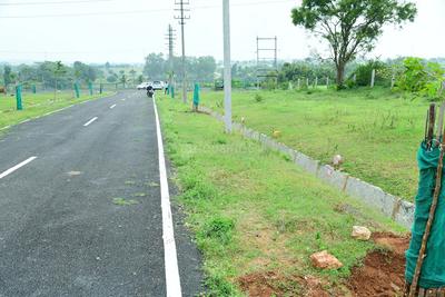 Ambiens Krishna Plot 1