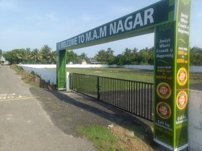 Project Image of 338.0 - 2244.0 Sq.ft Residential Plot Plot for buy in M A M Nagar