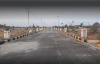 Project Image of 1281.0 - 10043.0 Sq.ft Residential Plot Plot for buy in Prakruti White Field