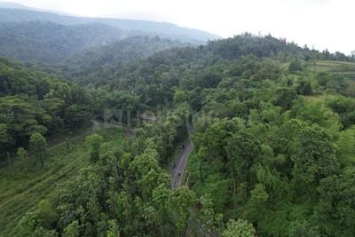 Project Image of 1700.0 - 7087.0 Sq.ft Residential Plot Plot for buy in Blissful Hills