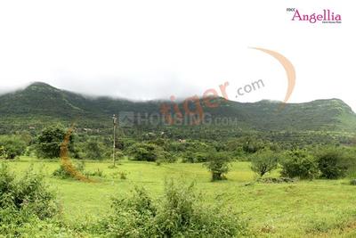 Project Image of 3228.0 - 5000.0 Sq.ft Residential Plot Plot for buy in FDCC Angellia