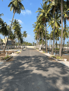Project Image of 785.0 - 2400.0 Sq.ft Residential Plot Plot for buy in V Professional Subrow