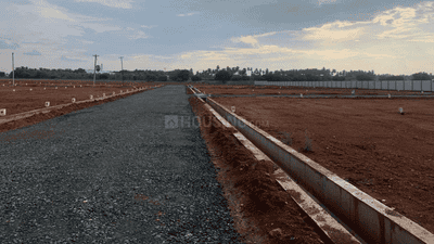 Project Images