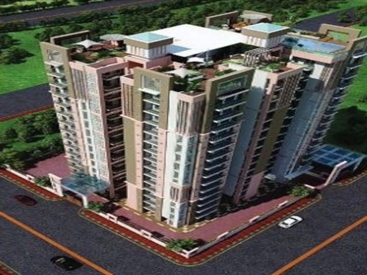 Parakh Golden Maple - Image 3