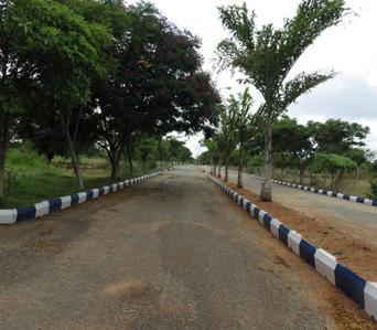 Project Image of 4500.0 - 5247.0 Sq.ft Residential Plot Plot for buy in Vasundhara Tree Park