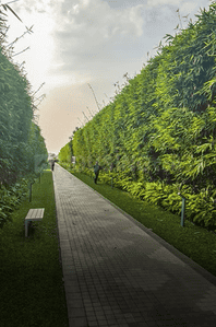 Project Image of 2724.62 - 6797.41 Sq.ft Residential Plot Plot for buy in Ramayana Crest Greens
