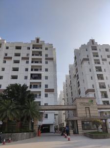 Project Image of 1215.0 - 2350.0 Sq.ft 2 BHK Apartment for buy in Galaxy Apartments