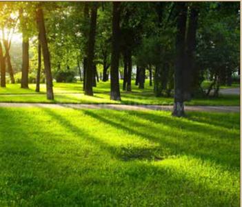 Project Image of 1140.0 - 1380.0 Sq.ft 2 BHK Apartment for buy in Wadhwa Madhupuri