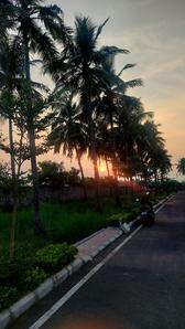 Project Image of 775.0 - 2000.0 Sq.ft Residential Plot Plot for buy in Sapphire Garden Phase 1
