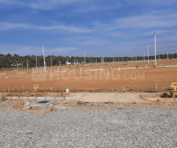 Project Images