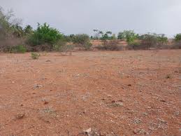 Project Image of 1000.0 - 10000.0 Sq.ft Residential Plot Plot for buy in Mahamumbai Plots In Khopata Township