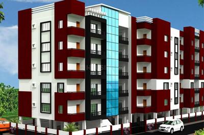 DS Max Starlet Images for Elevation of DS DSMAX STARLET 1