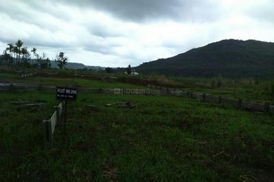 Project Image of 1000.0 - 3391.0 Sq.ft Residential Plot Plot for buy in Roha Mega City Phase II A B