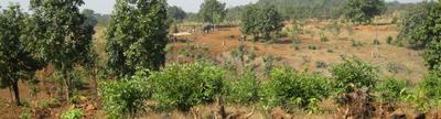 Project Image of 0.0 - 2200.0 Sq.ft Residential Plot Plot for buy in Disha Wellness City