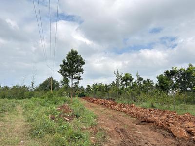 Project Image of 6000.0 - 12000.0 Sq.ft Residential Plot Plot for buy in Navile Farms 