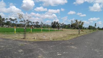 Project Image of 1800.0 - 2400.0 Sq.ft Residential Plot Plot for buy in Wisdom Sri Sathya Sai Nagar 