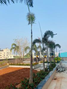 Project Image of 1265.0 - 2045.0 Sq.ft 2 BHK Apartment for buy in Concrete Avasa