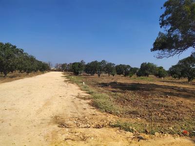 Project Image of 1350.0 - 3600.0 Sq.ft Residential Plot Plot for buy in Druvitha Rivers Edge Nature Greens