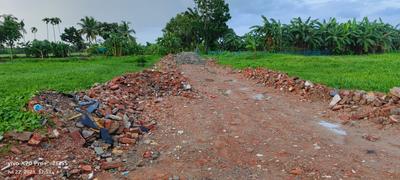 Project Image of 720.0 - 3600.0 Sq.ft Residential Plot Plot for buy in Bhasa Eco Village
