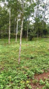 Manjunath Jade Vista Plot 2